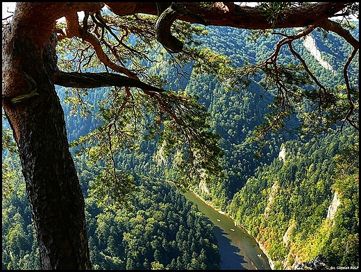 Widok z Sokolicy.