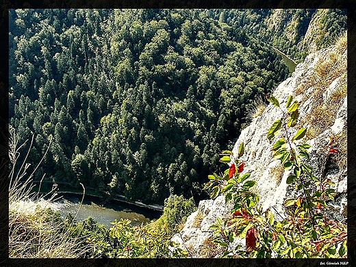 Widok z Sokolicy.