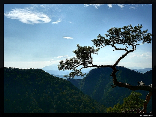 Widok z Sokolicy.