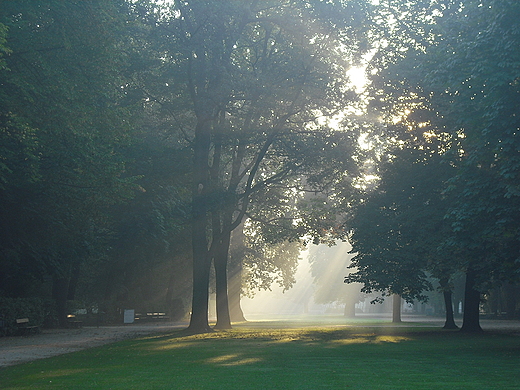 Warszawa. Jesienne azienki.