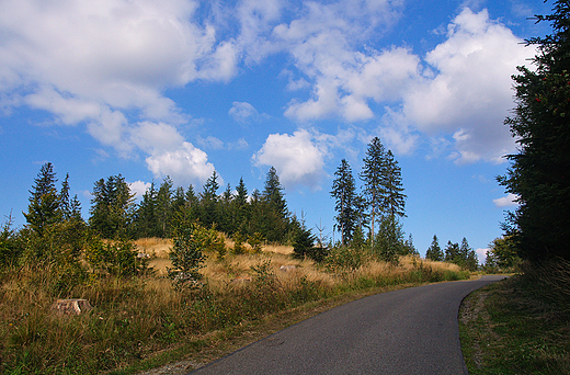 Beskid lski pod Stecwk.