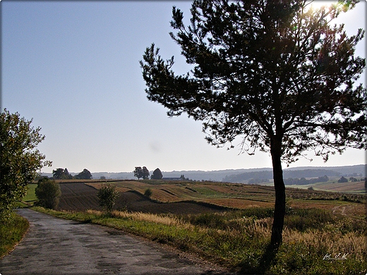 ROZTOCZASKIE POLA - JESIENI.