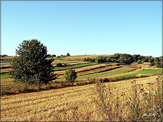 ROZTOCZASKIE POLA  - JESIENI.