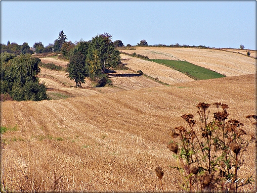 ROZTOCZASKIE POLA  - JESIENI.