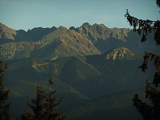 Widok na Tatry z Gubawki w Zakopanem