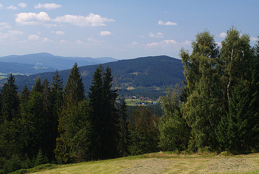 Beskid lski. Widok w kierunku Mlodej Gry.