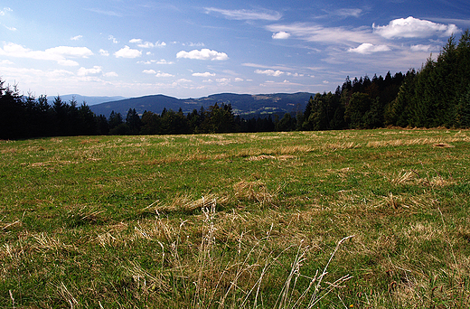 Beskid lski. Polana na Stecwce.