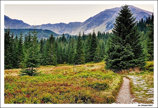 Tatry - szlak na Rako