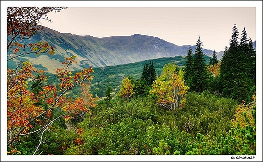 Tatry - widok ze szlaku