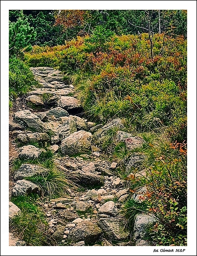 Tatry