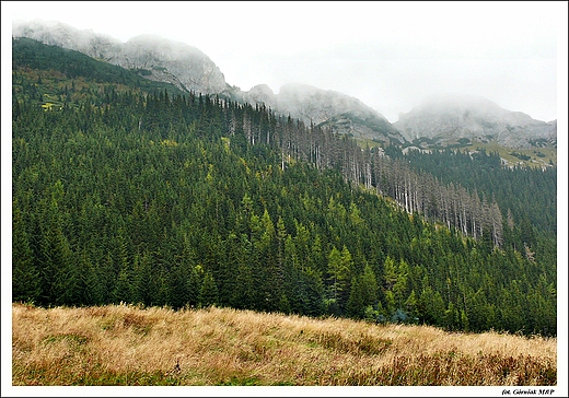 Widok ze szlaku na Kop Kondack.