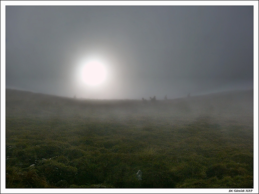 Tatry - szlak we mgle