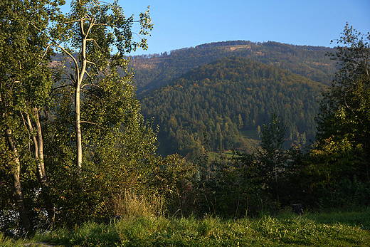 Beskid May - widok na Jaworzyn.