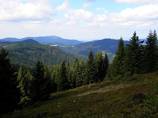 Widok z Rycerzowej na pasmo Wielkiej Raczy