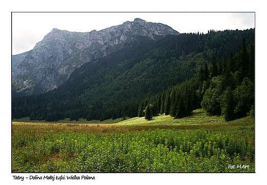 Tatry - Dolina Maej ki, na Wielkiej Polanie