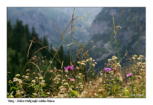 Tatry - Dolina Maej ki, na Wielkiej Polanie