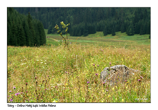 Tatry - Dolina Maej ki, na Wielkiej Polanie