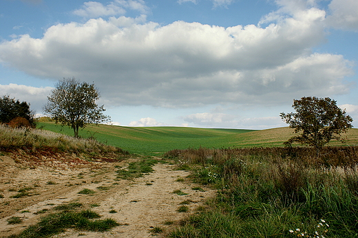 Dolina Poni okolice Barlinka