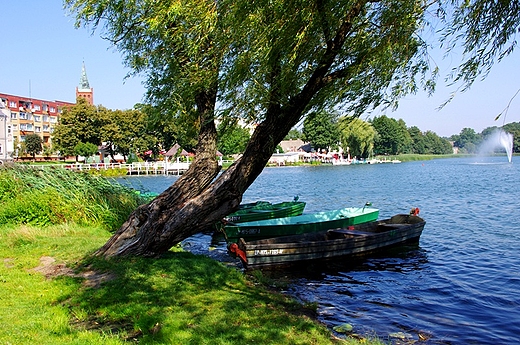 Wspomnienie lata - J. Barlineckie z panoram miasta