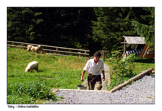 Tatry - Dolina Kocieliska