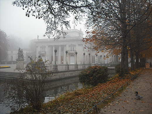 Warszawa. Jesie w azienkach.