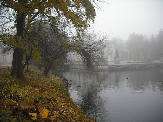 Warszawa. Jesie w azienkach.