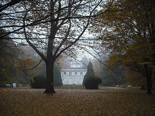 Warszawa. Jesie w azienkach.