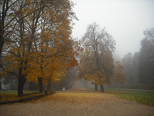 Warszawa. Jesie w azienkach.