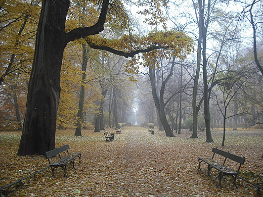 Warszawa. Jesie w azienkach.