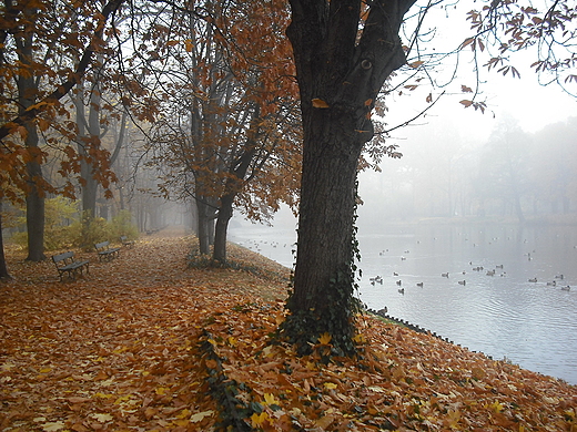 Warszawa. Jesie w azienkach.