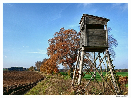 Jesienne nastroje...