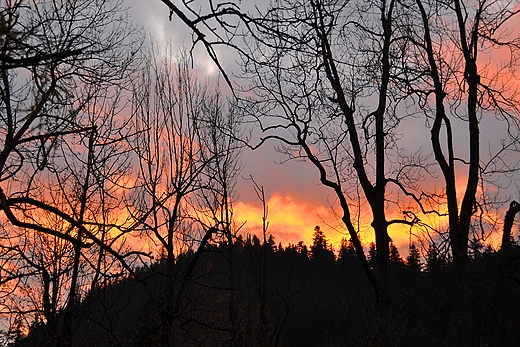 Kunice Zakopane i ponce niebo