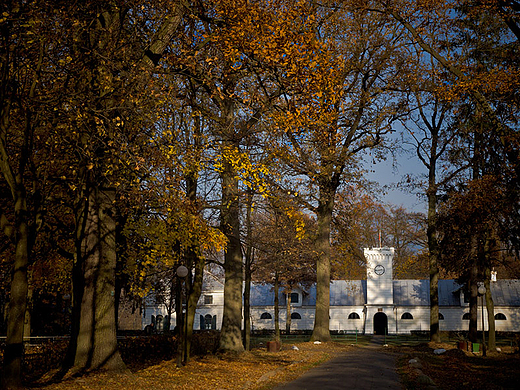 Stajnia zegarowa w stadninie koni w Janowie Podlaskim.