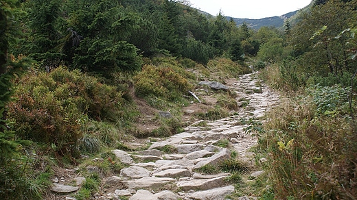 Szlak na Giewont