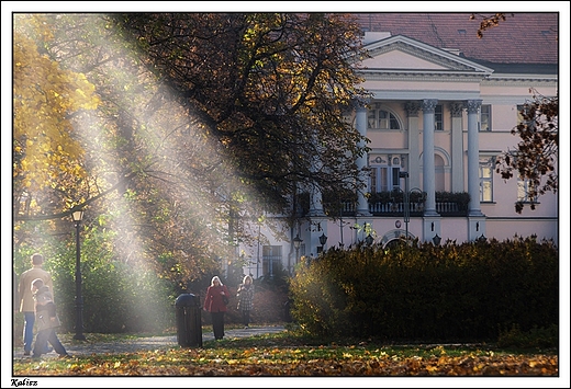 Kalisz - fragment parku z widokiem na Starostwo Powiatowe