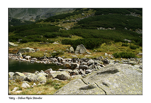 Tatry - Dolina Piciu Staww