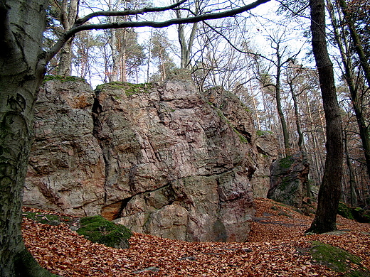 Rezerwat przyrody Kamie Michniowski