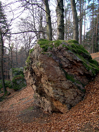 Rezerwat przyrody Kamie Michniowski