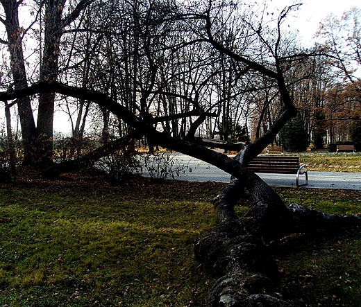 Park Miejski im. Jzefa Pisudskiego w Ostrowcu.