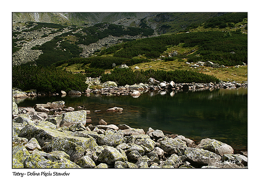 Tatry - Dolina Piciu Staww