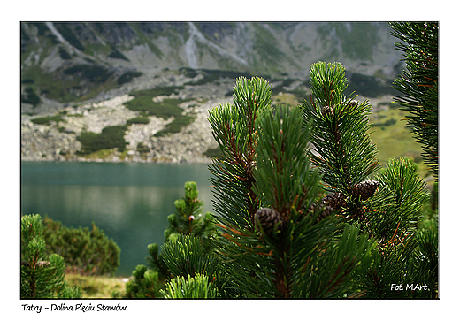 Tatry - Dolina Piciu Staww