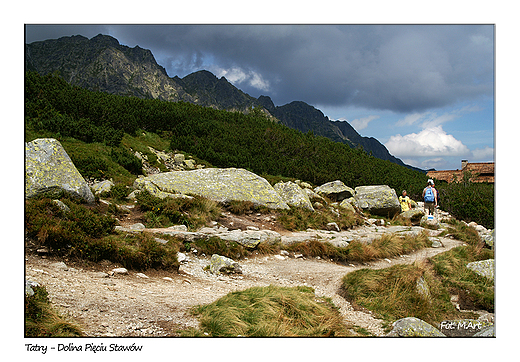 Tatry - Dolina Piciu Staww