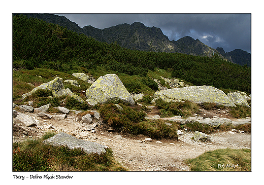 Tatry - Dolina Piciu Staww