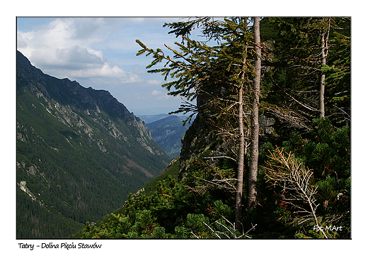 Tatry - Dolina Piciu Staww