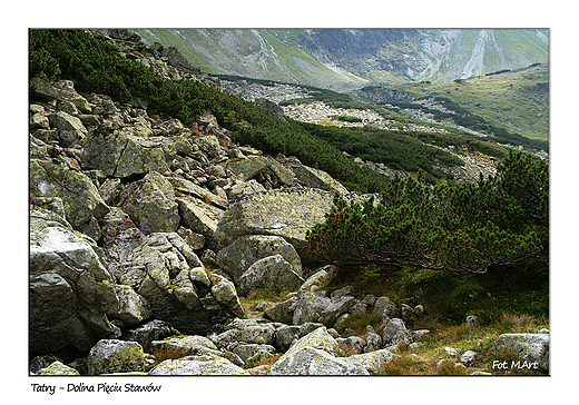 Tatry - Dolina Piciu Staww