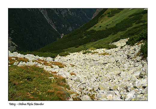 Tatry - Dolina Piciu Staww