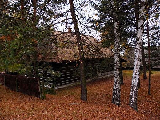 Skansen