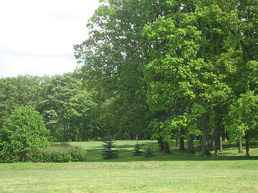 Park w Mierzcinie