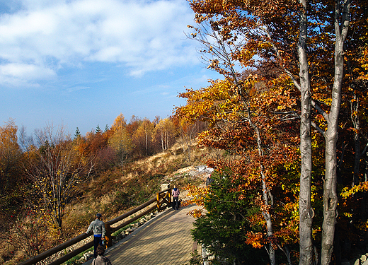 Beskid lski. W okolicy Zbjnickiej Chaty na Rwnicy.