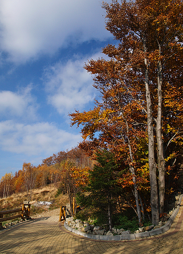 Beskid lski w jesiennej szacie. Pod Rwnic.